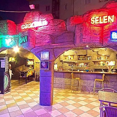 Hotell Selen 2*